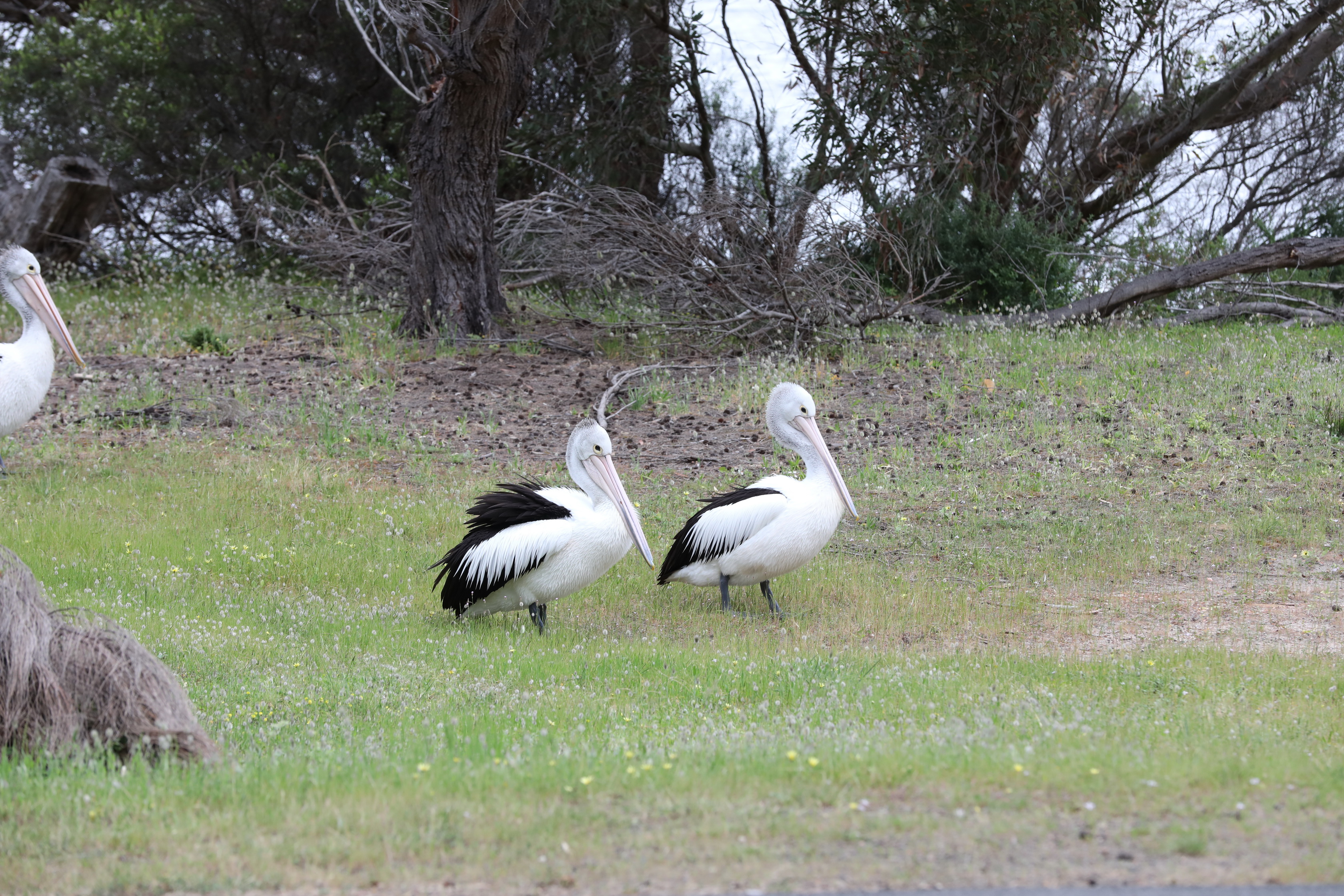 2019 10 06 15 03 40 Canon EOS 5D Mark IV 0015